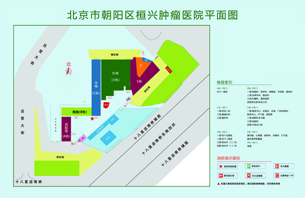 艹女人小网站北京市朝阳区桓兴肿瘤医院平面图